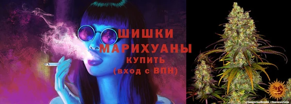 PSILOCYBIN Алексеевка