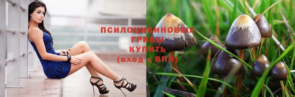 ECSTASY Абинск