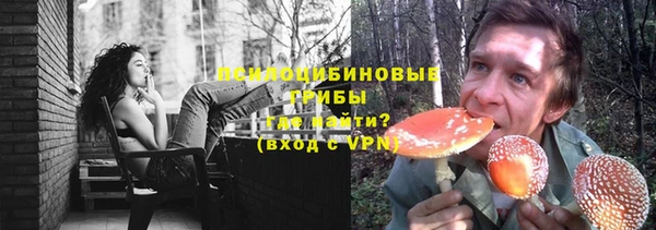 тгк Алзамай