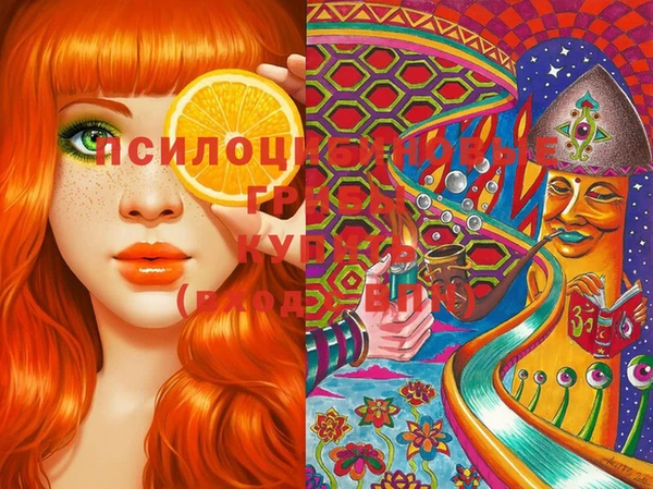 ECSTASY Абинск