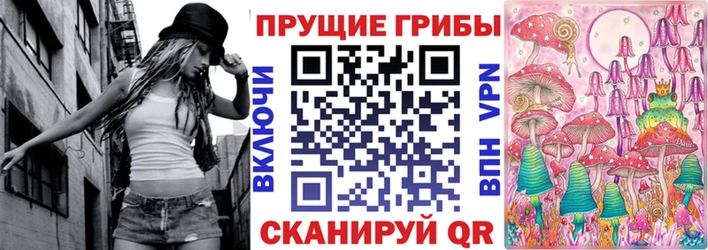 это наркотические препараты Киселёвск Псилоцибиновые грибы Psilocybine cubensis